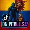 dn_pitbull