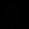 nssaer9i
