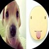 user57013012