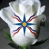 almasyacoub