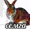 qwiis_chmo