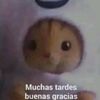 miguelhrndez245