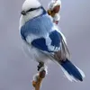 userqr9vtn35yb