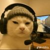 haahh__1