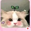 jhoiz022