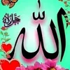 user693252157