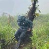 ayyrafif_02