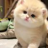 wantiwintana_