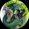 orice_de_oriunde
