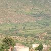 wedianseba6