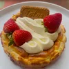 joy_daily_