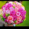 user1141137264567