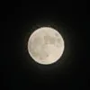 ayiyayiyay24