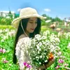 hana_ne94