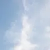 futafuta0000