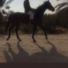 fahad.555_
