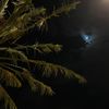 mooon151