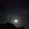 zahir_13278