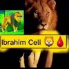 fadumoabdulahi886