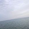 dy8zv2frbuml