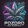 broda_w2_pdk