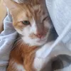 ninaflocky