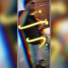 kevincastillo9089