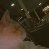 santy__7736