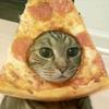 pizza_cat684