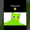 ant_webcasal