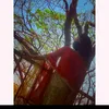 tamiratabassumtisha890
