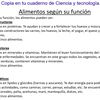 cami_hv2015