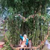 __theairisyaaaaa