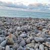 danielwelt35