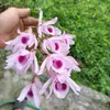 hoangquang23792