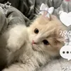 cheiska23