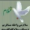 haseenullah5807