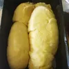 Pabikhastore