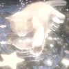 jet.aimer