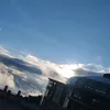 ginmt9