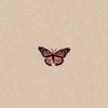 noor__hossam