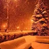 somaiyatahyr683