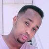 ceygydaus11