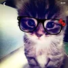 loveyoual.l