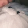 vkbeohin