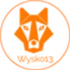wysko13n