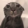 vvwvvwvvwvvwvvwvvwvvwvvv