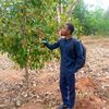 hassankilimo