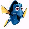 dory49540