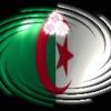 abdelbasset260
